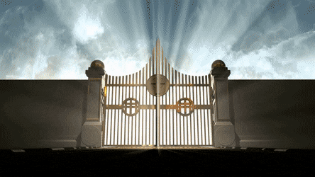 Good Luck GIF